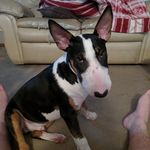 Robert Waldron - @waldron1925 - Instagram