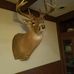 Robert Waldron - Facebook