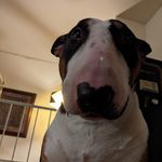 Robert Waldron - @robert.waldron.961 - Instagram