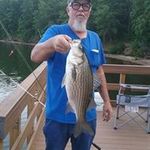 Robert Waldron - @robert_waldron - Instagram