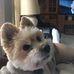 Robert Walkup - Facebook
