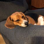 Robert Wallis - @robert.wallis - Instagram