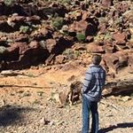 Robert Wallis - @robert.j.wallis - Instagram
