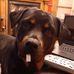 Robert Walpole - Facebook