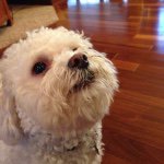 Alex Robert Walrath - @alex_walrath - Instagram
