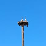Robert Waltenbaugh - @robert_w02 - Instagram