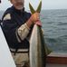 Robert Wampler - Facebook