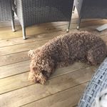 Robert Wannong - @robertwannong - Instagram