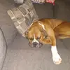 Robert Warren - @robert.warren18 - TikTok