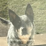 Robert warren - @robbyroo08 - Instagram