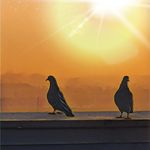 R. Warwick PhotoWorks - @robert_warwick_photoworks - Instagram