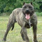 Robert Washington - Facebook