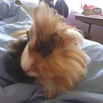 Robert Waskiewicz - @robert.waskiewicz74 - Instagram
