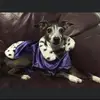 robertwaskiewicz4 - @robertwaskiewicz4 - TikTok