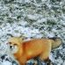 Robert Weatherbee - Facebook