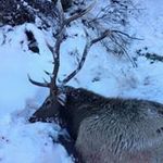 Robert Webber - @robert.webber.7161 - Instagram