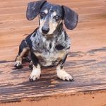 Robert Weddington - @potlicker63 - Instagram
