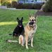 Robert Weikle - Facebook