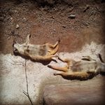 Robert Weimer - @robert.weimer - Instagram
