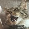 Robert weir221 - @robertweir221 - TikTok