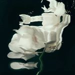 Robert Weir - @robertweirbeautybridal - Instagram