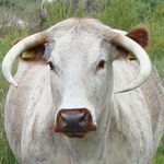 Robert Weir - @rjnweir - Instagram