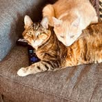 Robert Weisbrod - Facebook
