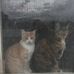 Robert Weisbrod - Facebook