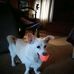 Robert Weisgerber - Facebook