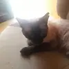 Robert Weisser656 - @robert888_xd - TikTok