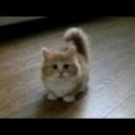 @robert_welker_12 - Instagram