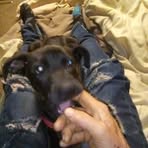 Robert Welker - Facebook