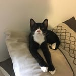 Robert Welker - @artist671456 - Instagram