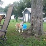 Robert Welker - @welker3368 - Instagram