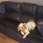 Robert Westwood - @robertwestwood1962 - Instagram