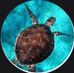 Robert Westwood - Facebook