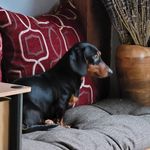 Robert Wethington - @rdwethington - Instagram