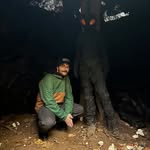 Robert Whaley - @earl_of_whales - Instagram