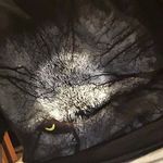 Robert Whaley - @robwhaley04 - Instagram