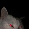 Robert_Richard - @robert_richard_027 - TikTok
