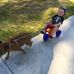 Robert Whitbread - Facebook