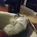 Robert Whitcomb - Facebook