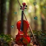 Robert Whitcomb - @violin__101_rw - Instagram