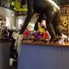 robertwhitelaw392 - @robertwhitelaw392 - TikTok