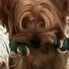 Robert 3791 - @robertwiacek73 - TikTok