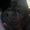 Robertwick - @drippybert - TikTok