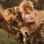 Robert Widmann - @robert.widmann.56 - Instagram