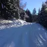 Robert Widmann - @robertwidmann0 - TikTok