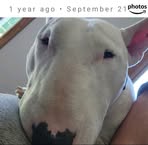 Robert Wiencek - Facebook