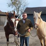 Robert Wigger - @robertwigger - Instagram